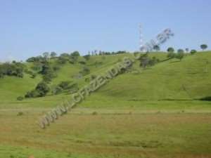 Fazenda em sao goncalo do sapucaí - minas gerais