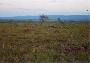 Alq- nova brasilandia mt (dupla aptidao)