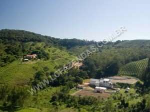 Fazenda de café certificada no sul de minas gerais