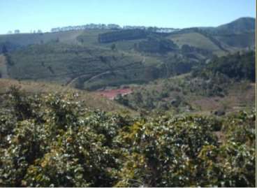 Fazendas cod.: 1168 - caraí/mg