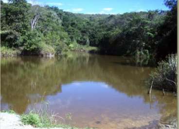 Fazendas cod.: 2626 - pará de minas/mg