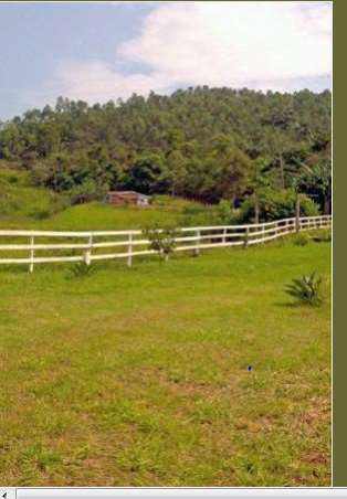 Fazendas cod.: 2882 - santa bárbara do monte verde