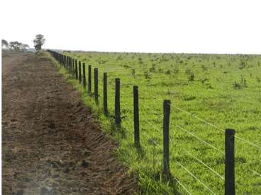 Santa rita do trivelato mt(pecuária/agricultura)