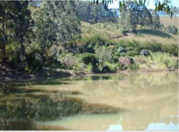 Fazendas cod.: 1168 - caraí/mg