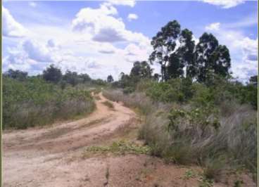 Fazendas cod.: 1486 - chapada gaúcha/mg