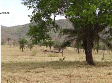 Fazenda de cultura (engorda de boi) 980 ha