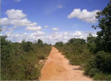 Fazendas cod.: 1486 - chapada gaúcha/mg