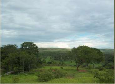 Fazendas cod.: 2855 - sao goncalo do abeté/mg