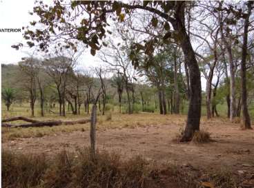 Fazenda de cultura (engorda de boi) 980 ha