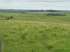 Uruguay bom campo de gado