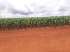 Fazenda em chapadao do céu-go. 1.070 hectares