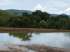 Fazenda em barro alto-go. 60 alqueires