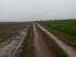 Fazenda 1.160 ha soja/milho - canarana mt