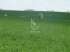 Fazenda a venda no uruguai 532 hectares