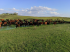 Fazenda a venda no uruguai 10.000 hectares