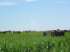 Terra ideal para soja e arroz - uruguai