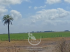 500 hectares mistas - arroz/soja in uruguai