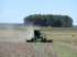 Fazenda 7055 hectares dupla aptidao uruguai