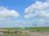 500 hectares mistas - arroz/soja in uruguai
