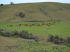 Fazenda a venda no uruguai 10.000 hectares