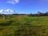 Fazenda para pecuária/agricultura no amapá