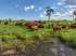 Fazenda de 512 ha em plena producao a venda