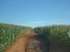 Fazenda sao grabriel doeste - 670 ha