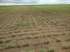 Fazenda soja 30000 hectares urucui-pi