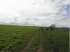 Tesouro mt (agricultura - pecuária)