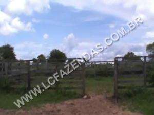 Fazenda no norte de minas gerais/lontra - minas ge