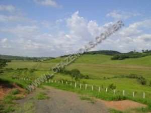 Fazenda em sao goncalo do sapucaí - minas gerais