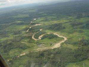 Fazenda a venda em pontal da amazonia/tarauacá