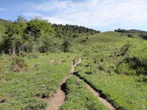 Fazenda em sapucaí-mirim - minas gerais