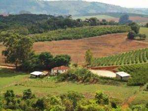 Venda possui 4 1/2 alquer, casa