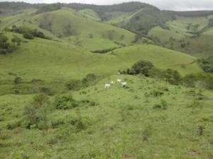 Fazenda em sapucaí-mirim - minas gerais