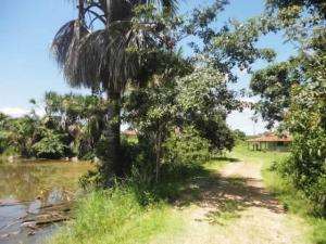 Fazenda em nova crixás - goiás