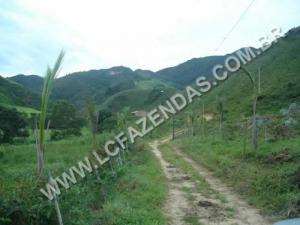 Fazenda a venda em santa rita jacutinga - minas ge