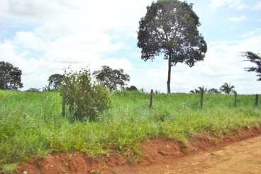 Fazenda 970 hectares nova crixás-go.