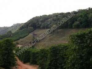 Fazenda em sao goncalo do sapucaí - minas gerais