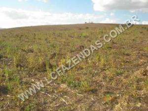 Fazenda a venda em minduri - minas gerais