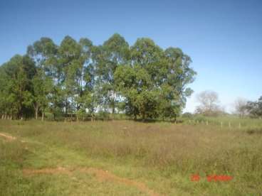 Excelente fazenda entre uruacu-go e niquelandia-go