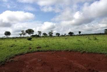 Excepcional fazenda com 1597 ha em sao domingos-go