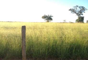 Excepcional fazenda com 1597 ha em sao domingos-go