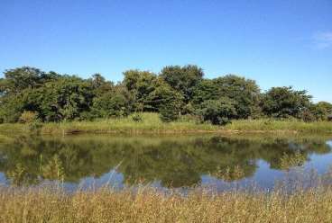 Excepcional fazenda com 1597 ha em sao domingos-go