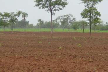 Excepcional fazenda com 1597 ha em sao domingos-go