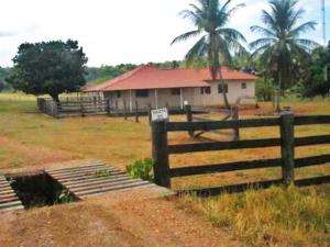 Fazenda em nova crixás - goiás