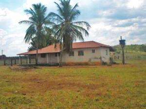 Fazenda em nova crixás - goiás