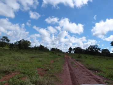 Fazenda 1850ha camapua - 213