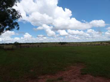 Fazenda 1860ha camapua - 212