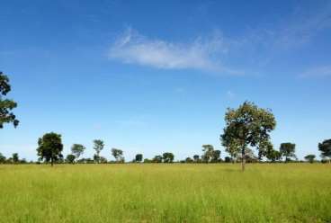 Fazenda 19.360 ha em cocalinho mt